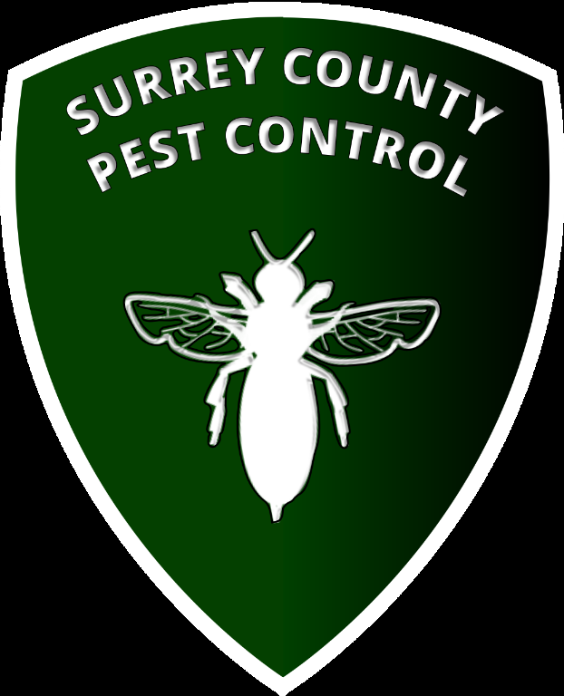 Surrey County Pest Control in Guildford - Image 1