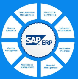 Best SAP Training Institute in Noida | ZeOpto in Noida - Image 2