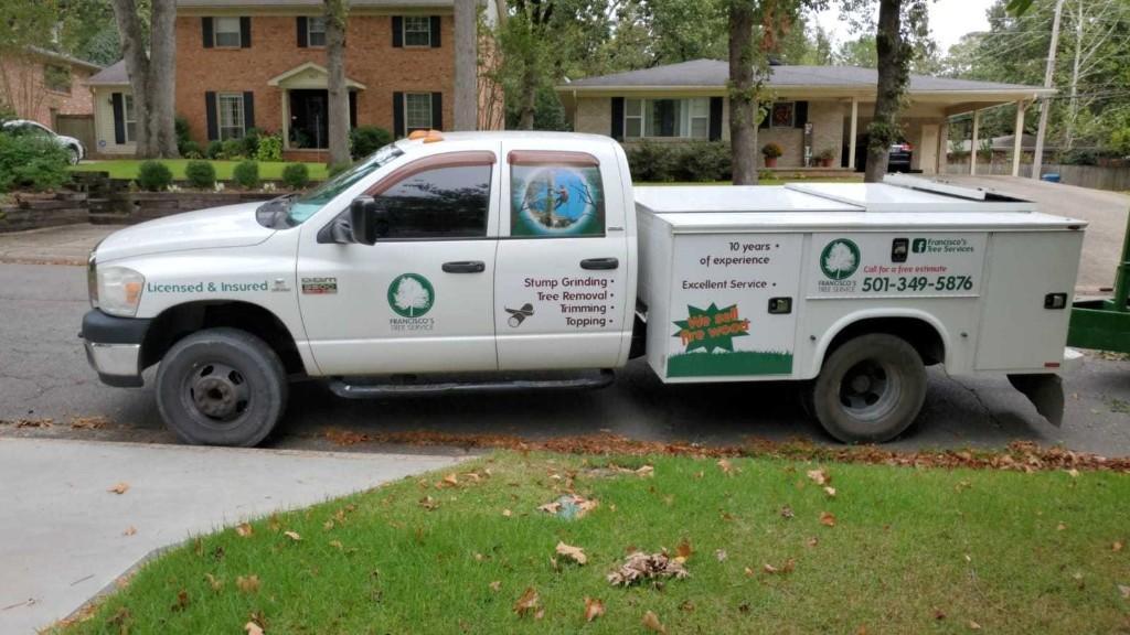 Francisco Tree Services in Little Rock - Image 2