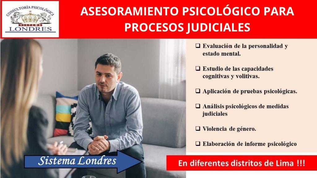 ASESORAMIENTO PSICOLÓGICO PARA PROCESOS JUDICIALES en Perú - Imagen 1