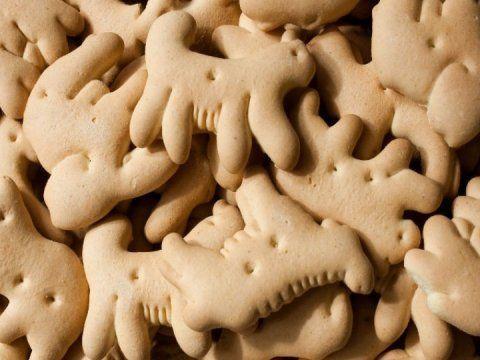 Embazado de galletas en Tacuba - Imagen 1