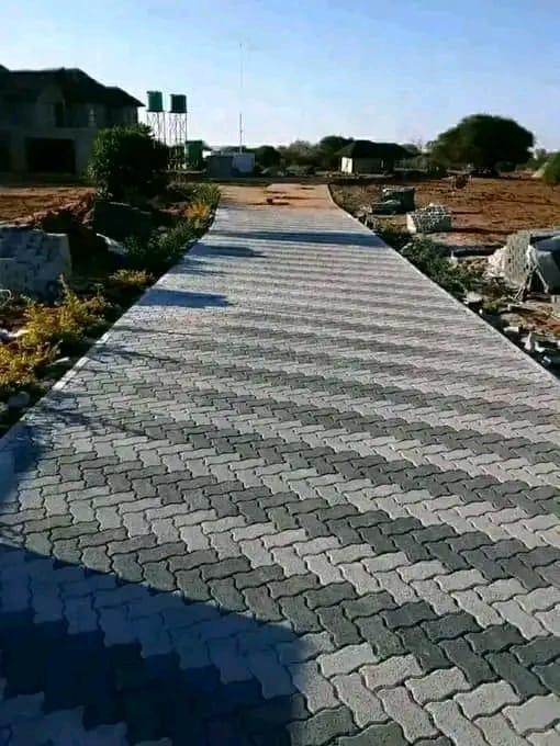 Professional Paving Systems in South Africa - Image 1