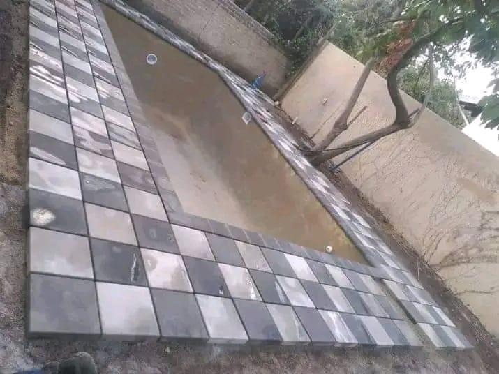 Professional Paving Systems in South Africa - Image 5