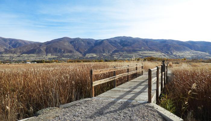 Civil Solutions Group Civil Engineer Cache Valley, SLC & Provo in Ogden - Image 2