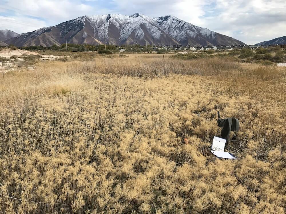 Civil Solutions Group Civil Engineer Cache Valley, SLC & Provo in Ogden - Image 5
