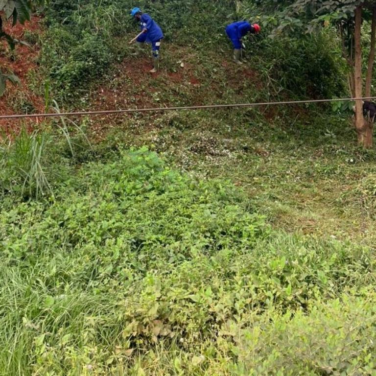 Lots de terrain au Cameroun - Photo 1