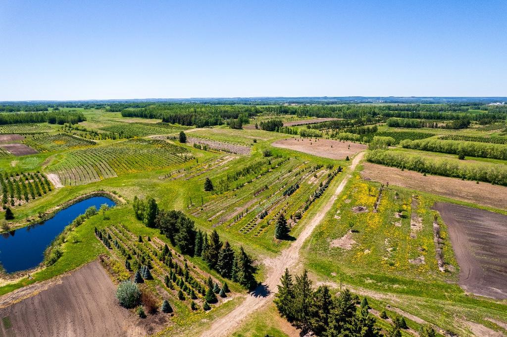 Nursery Labourer in Okotoks - Image 2