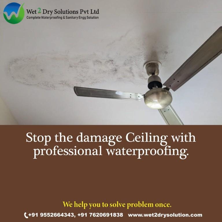 Certified Waterproofing & Moisture Protection Services in Bavdhan - Image 7