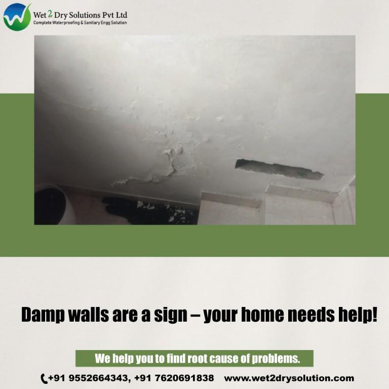 Certified Waterproofing & Moisture Protection Services in Bavdhan - Image 9