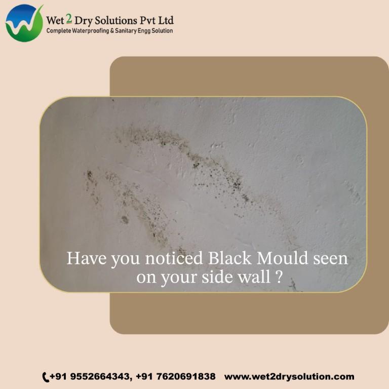 Certified Waterproofing & Moisture Protection Services in Bavdhan - Image 10