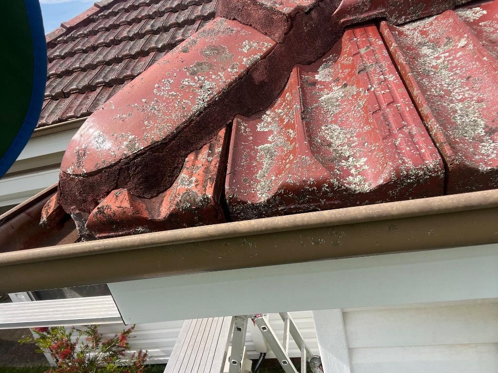 The Gutter Install Guy in Watanobbi - Image 1
