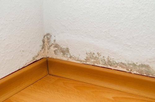 Home Waterproofing & Leakage Repair Services in Hadapsar - Image 3