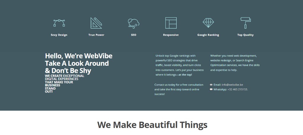 Webvibe - Premium Web Services in Safdarjung Enclave - Image 2