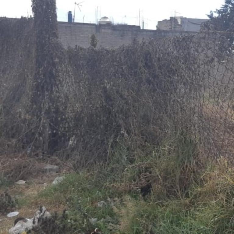 SE VENDE TERRENO EN EL CENTRO DE COYOACAN en Tacuba - Imagen 1