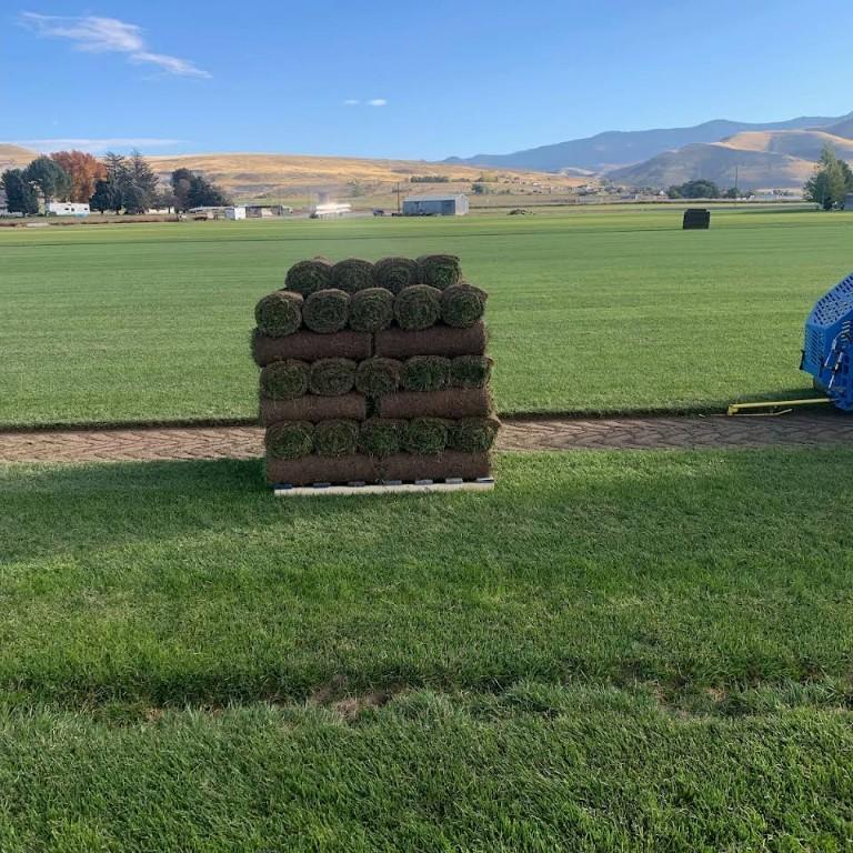 Local Family-Owned Turf Farm in Missoula - Image 2