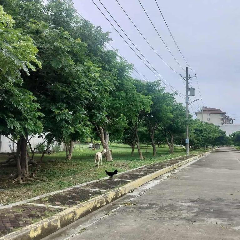 Lot For Sale In Lapu Lapu in Cebu City - Image 2