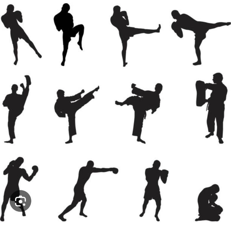 CLASES PARTICULARES DE PATINAJE SOBRE RUEDAS PARA PRINCIPIANTES en Tacuba - Imagen 1