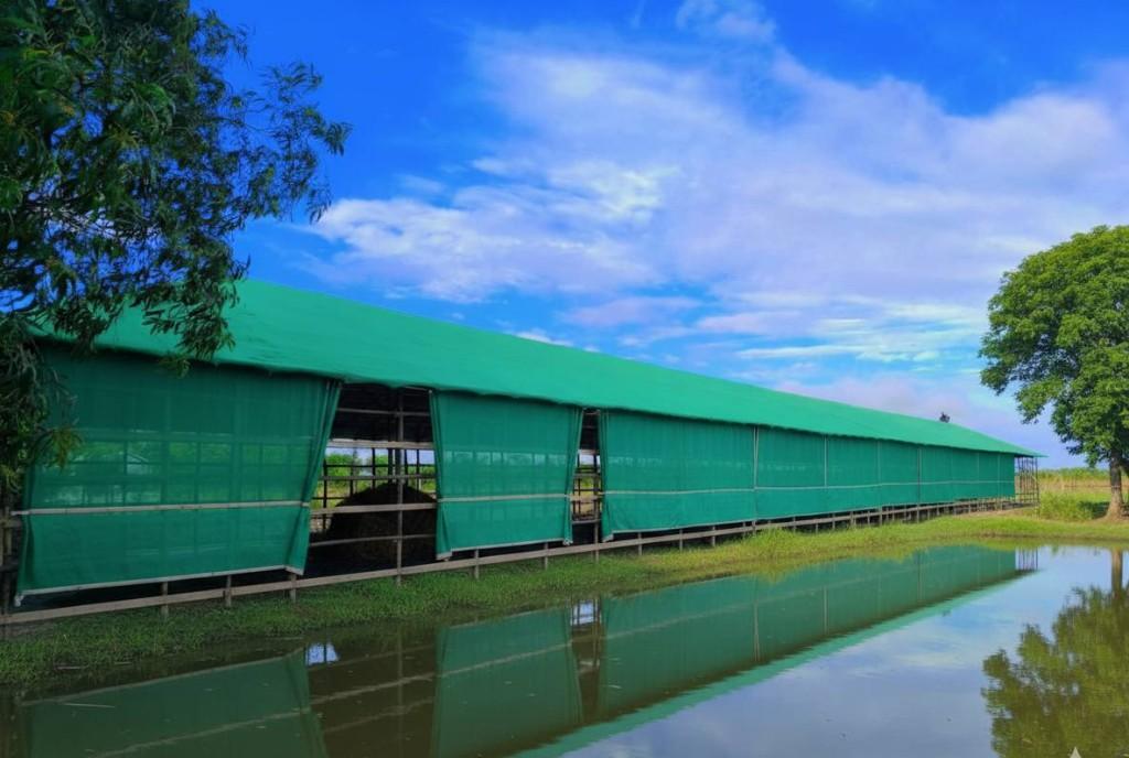 Why Use Geo-Sheet Lining for Fish Ponds in Dhaka - Image 2
