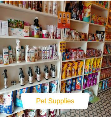 Pet grooming In Noida in Delhi - Image 4