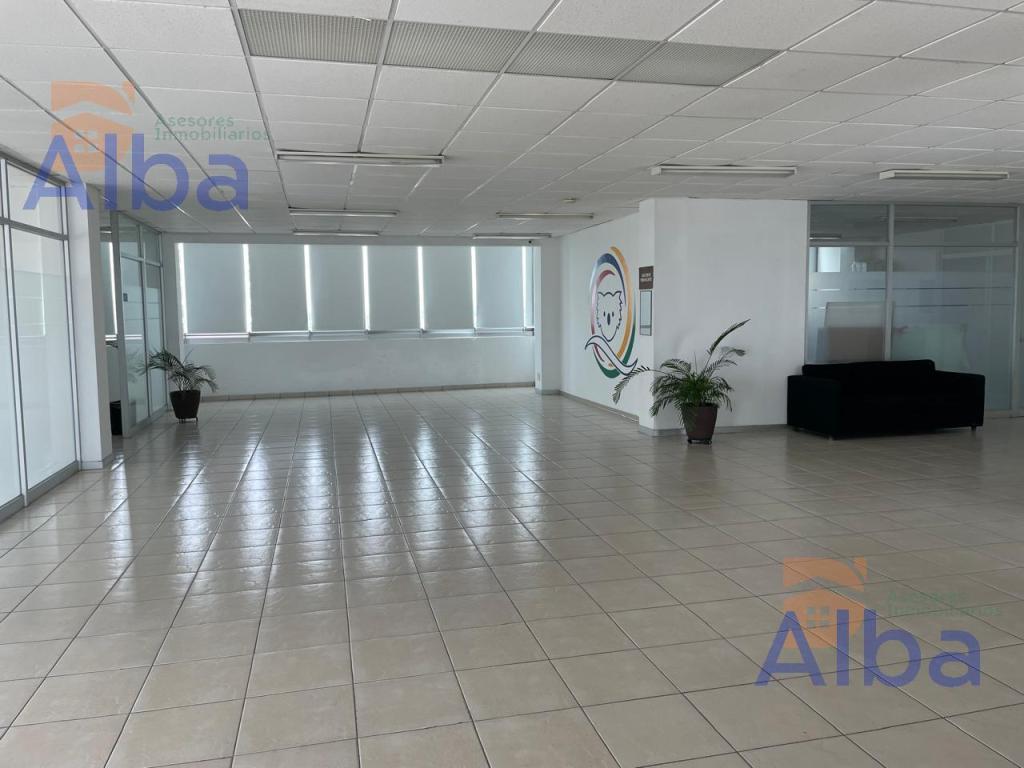PISO EN RENTA PARA OFICINAS EN GUADALUPE GONZALEZ CASI … en Aguascalientes (AGS) - Imagen 1