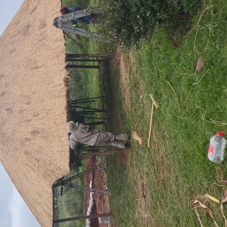 Am specialize thatch roofs in Germiston - Image 3