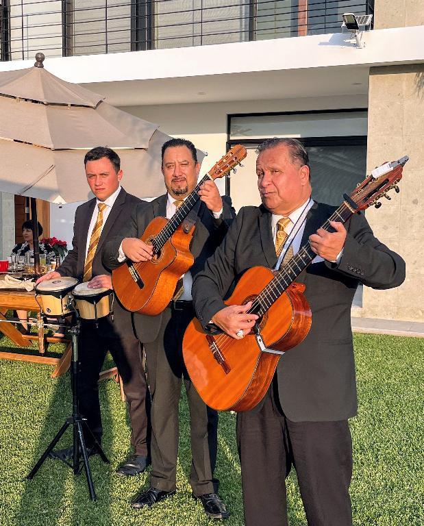 TRÍO DEL BOLERO DEL BOLERO TRÍO TRÍO en Metepec - Imagen 2