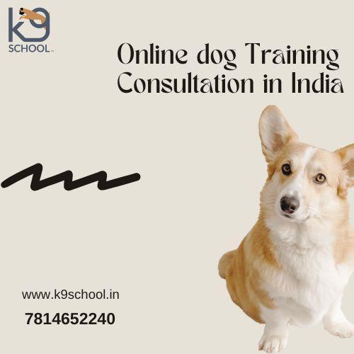 Dog Training Programs Near Me at K9 School for Happy Pets in Gautam Budh Nagar - Image 1