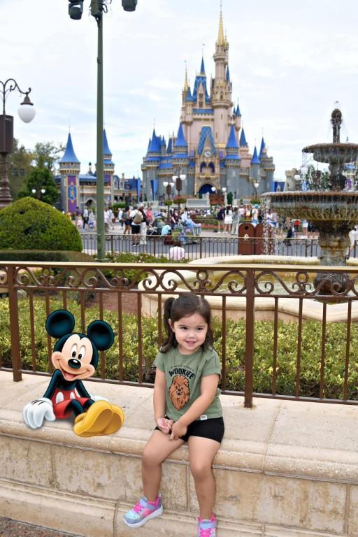 ENTRADAS PAGUE ADENTRO! A LOS PARQUES DISNEY ORLANDO! en Silver Spring - Imagen 4