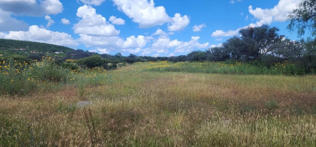 VENDO TERRENO CAMPESTRE EN COMUNIDAD CAÑADA LAS FLORES CARR RODR en Tapachula - Imagen 2