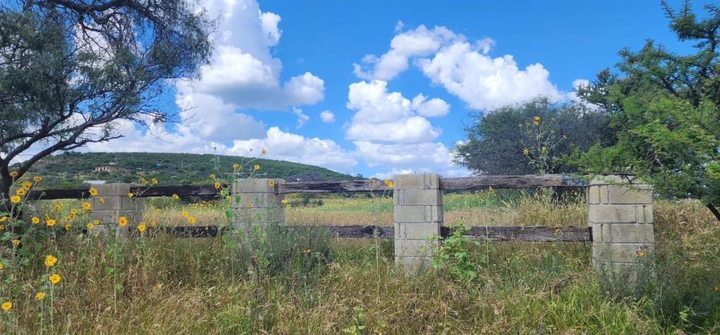 VENDO TERRENO CAMPESTRE EN COMUNIDAD CAÑADA LAS FLORES CARR RODR en Tapachula - Imagen 1