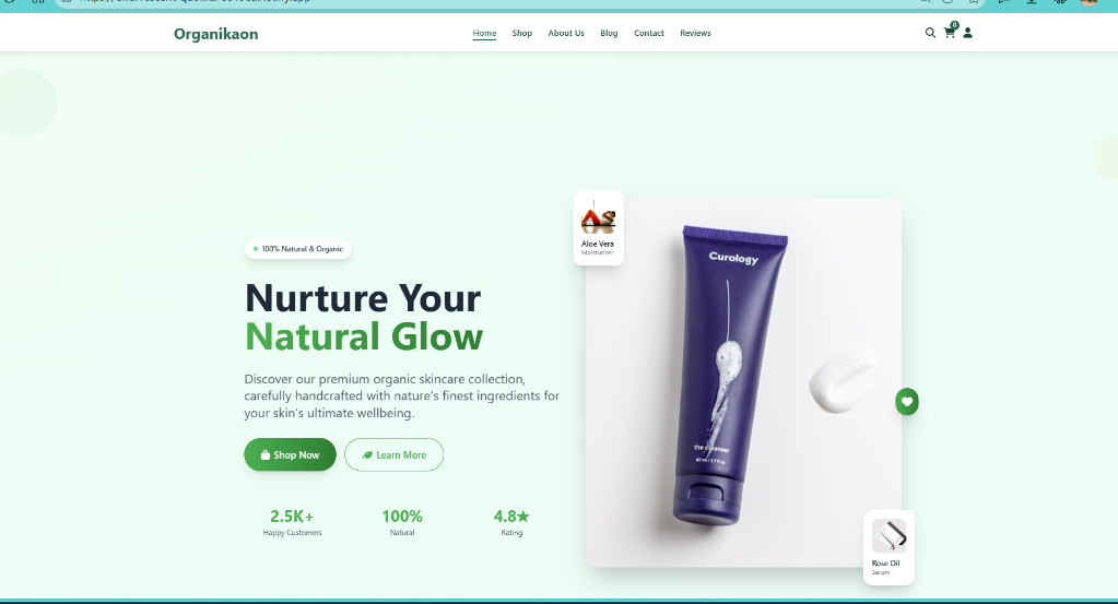 Ready-Made E-Commerce Website – Fully Setup in Bangladesh - Image 1