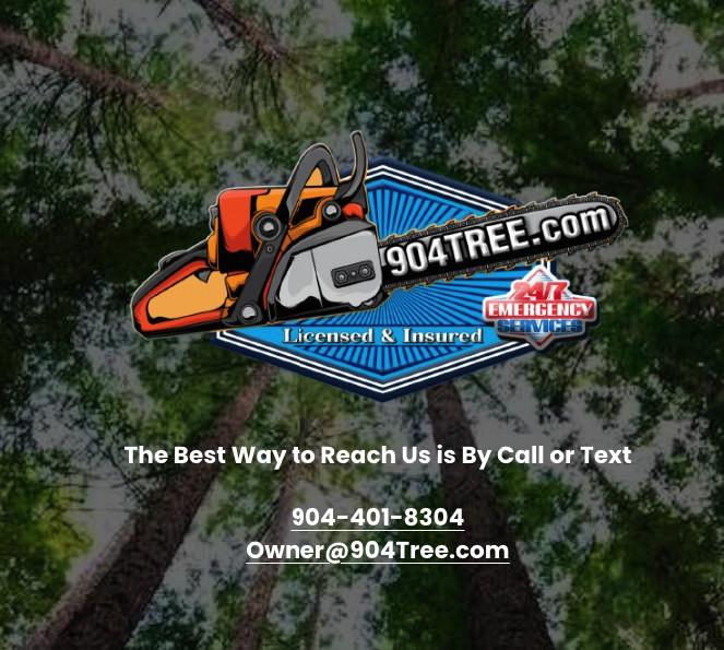 904 tree com(904tree.com) in Jacksonville - Image 1