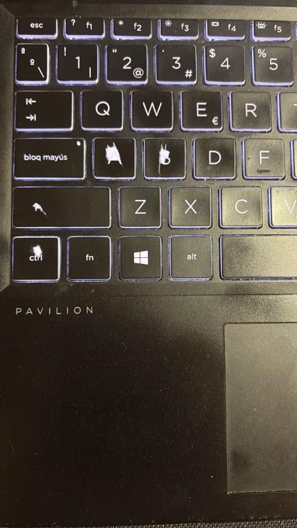 PORTÁTIL HP PAVILION GAMING + REGALOS en Requena - Imagen 4