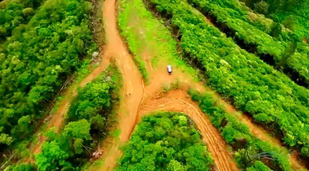 ESPECTACULAR FINCA PARA DESARROLLO EN OROSI, CARTAGO. en Oreamuno - Imagen 4