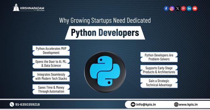 Why Growing Startups Need Dedicated Python Developers in Vaishali Nagar - Image 2