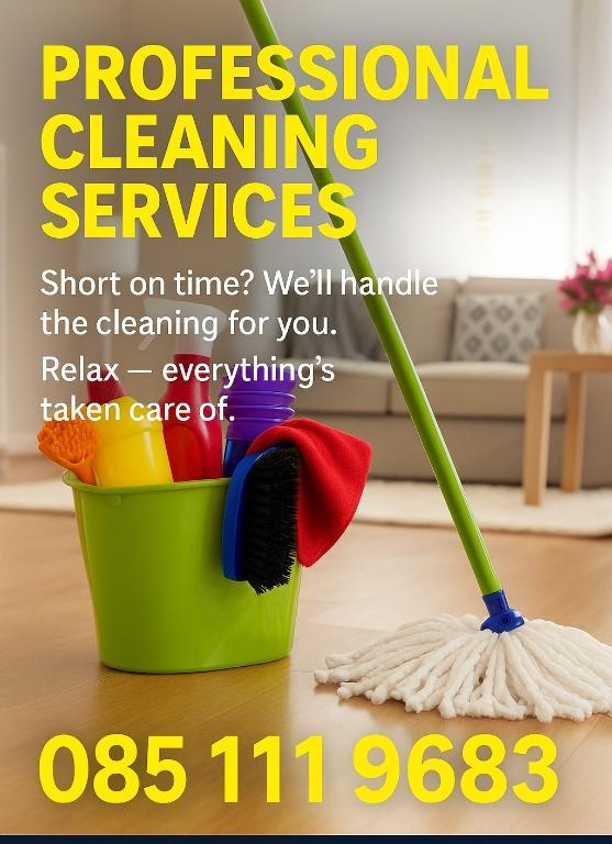 PROFESSIONAL CLEANING in Carlow - Image 1