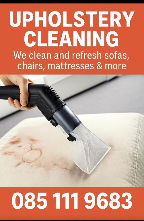 PROFESSIONAL CLEANING in Carlow - Image 2