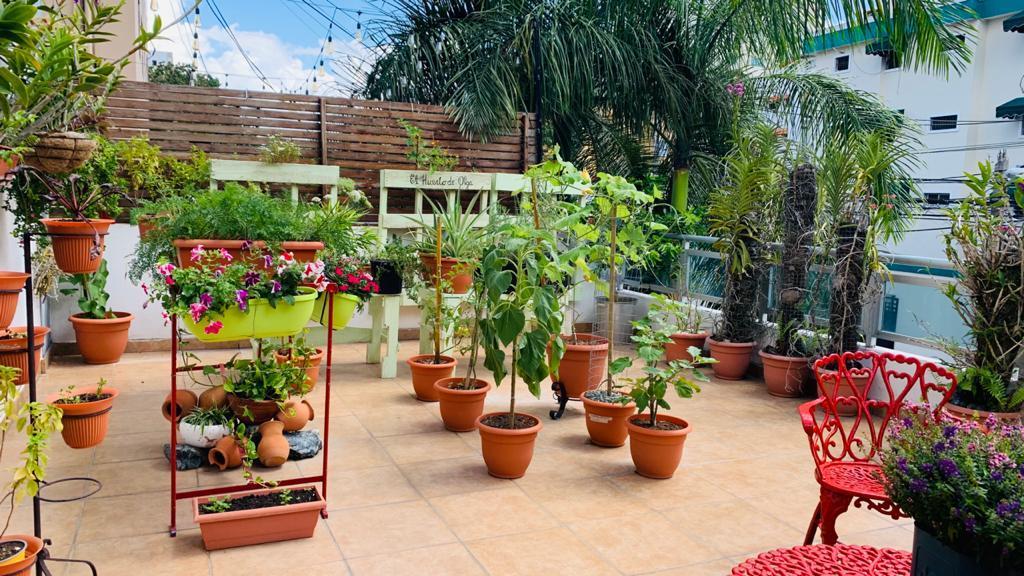 HERMOSO APARTAMENTO EN ALQUILER EN RENACIMIENTO en La Romana - Imagen 1