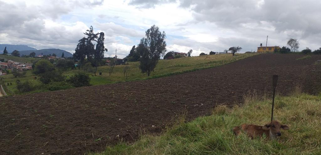 vendo lote en cogua (Cundinamarca) en Colombia - Imagen 1