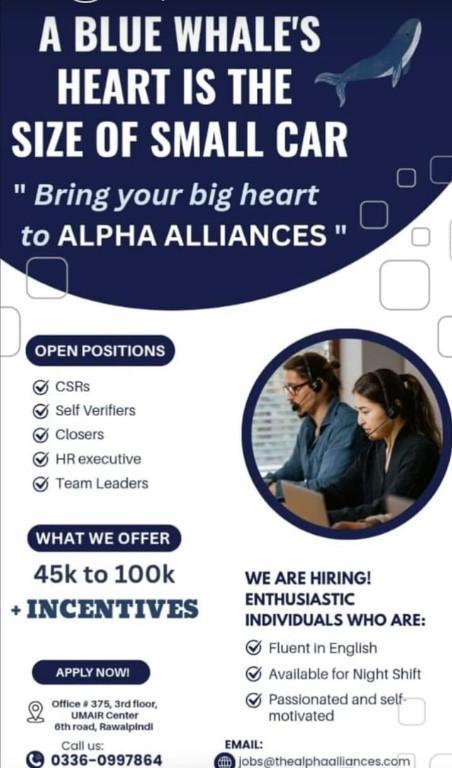 Customer Service Representative in Pakistan - Image 1