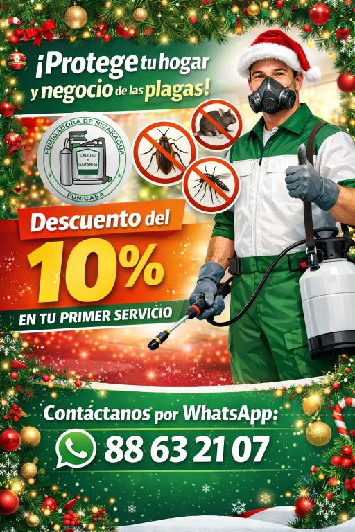 Problema con plagas en Monterrey (MTY) - Imagen 2