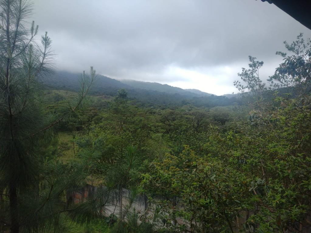 BELLA PROPIEDAD CON 2 CASAS EN SAN RAMÓN. en Naranjo - Imagen 4