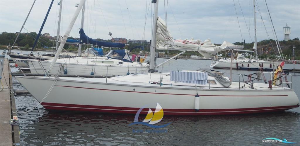 Luffe 37 in Rostock - Bild 1