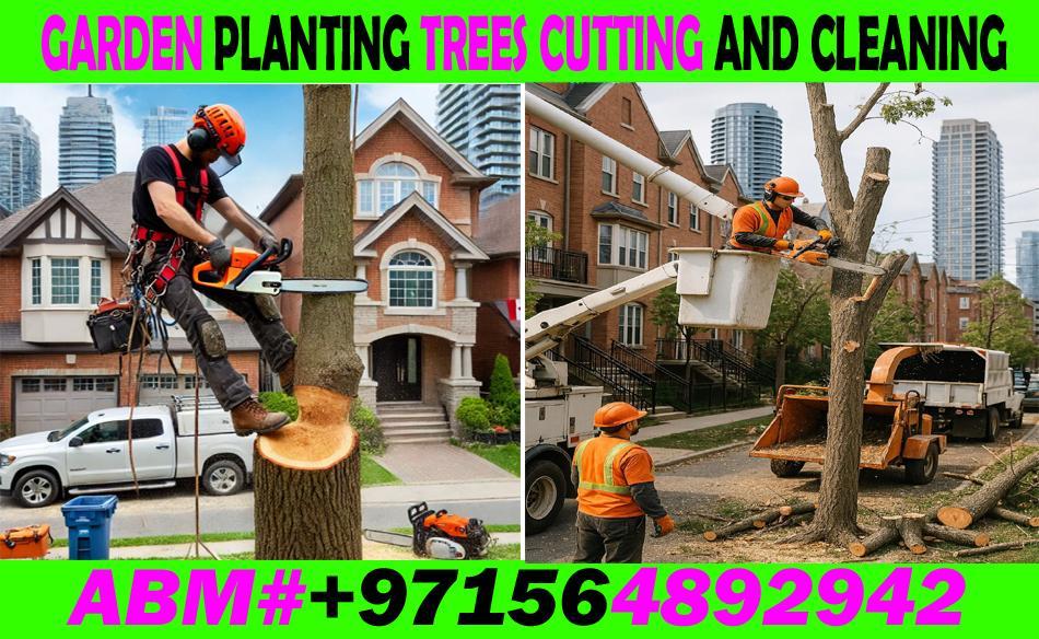 Garden Trees cutting cleaning and Maintenance Contractor in UAE in Kalbā - Image 6