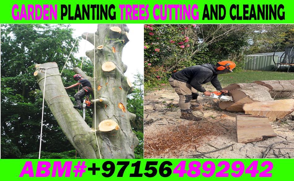 Garden Trees cutting cleaning and Maintenance Contractor in UAE in Kalbā - Image 1
