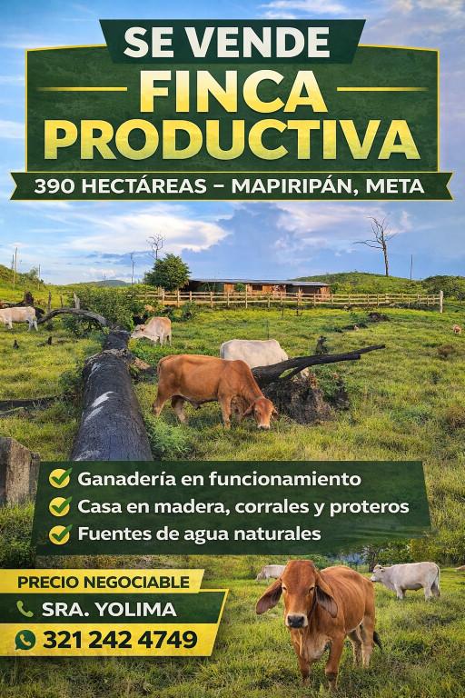 ACTIVO RURAL EN VENTA 390 HECTÁREAS – MAPIRIPÁN, META en Colombia - Imagen 1