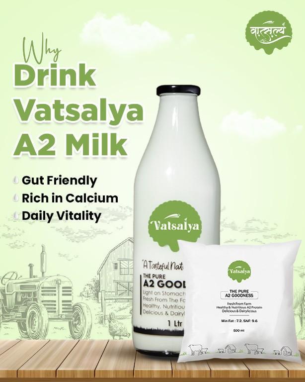 Premium Buffalo Milk Available – Check Local Quality & Rates in Kolhapur - Image 1