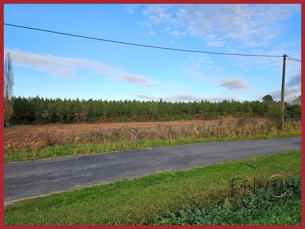 Terrain constructible à Villenave-d'Ornon - Photo 1