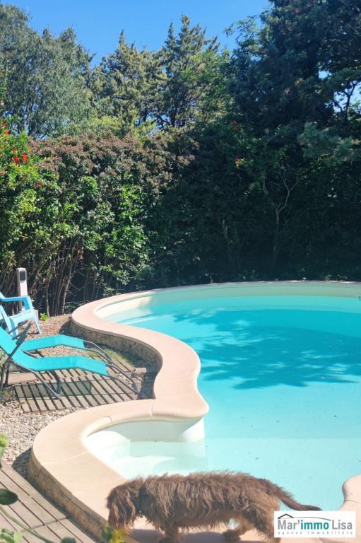 MAISON AVEC JARDIN ET PISCINE à Salon-de-Provence - Photo 1