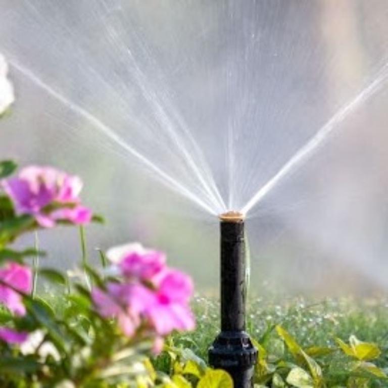 Automatic irrigation system installation in Al Ain - Image 2
